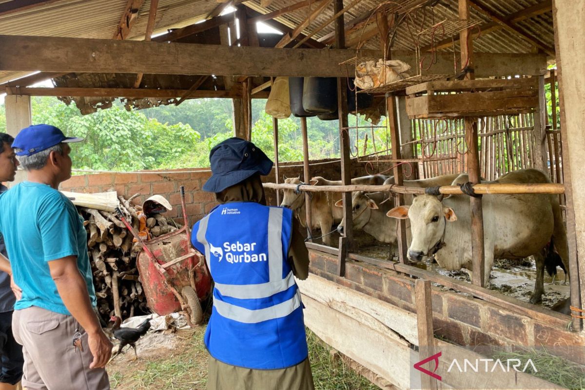 Special Plan: Human Initiative buka program “Flash Sale Qurban” 2026