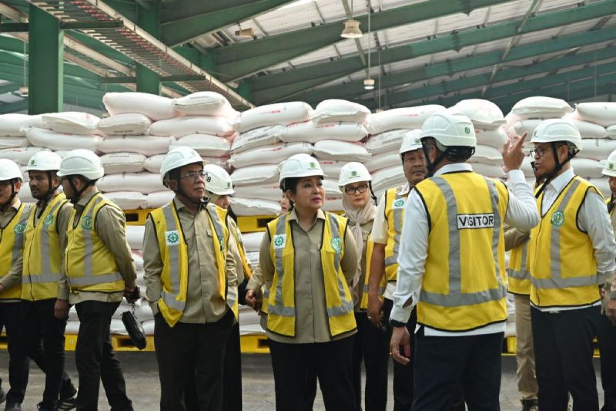 Latest Program: Titiek: Distribusi pupuk lebih cepat usai penyederhanaan aturan