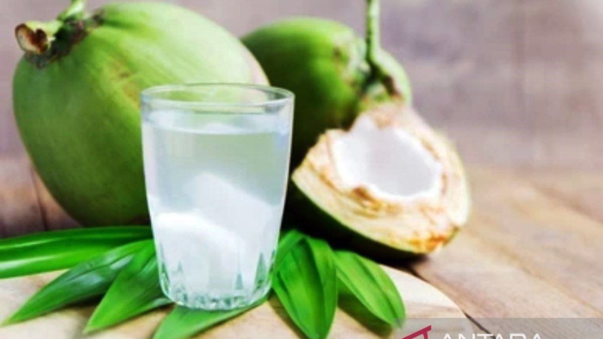 Kelapa
