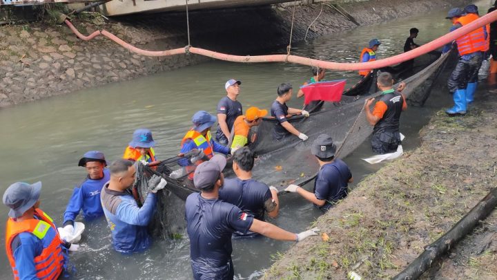 Jakarta Barat tangkap 1,19 ton ikan sapu-sapu sepanjang 2026