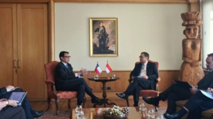 Wamenlu Havas usul MoU kemitraan mineral hijau RI-Chile