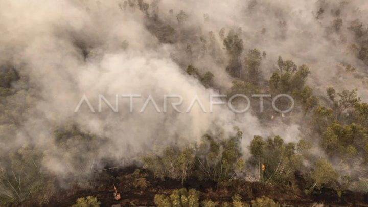 Bareskrim tetapkan sembilan tersangka kasus karhutla korporasi