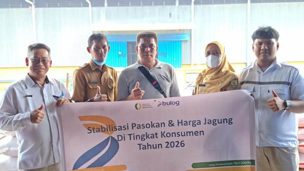 Bulog Tanjungpinang salurkan 49 ton jagung SPHP kepada peternak ayam