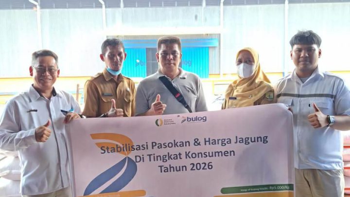 Bulog Tanjungpinang salurkan 49 ton jagung SPHP kepada peternak ayam