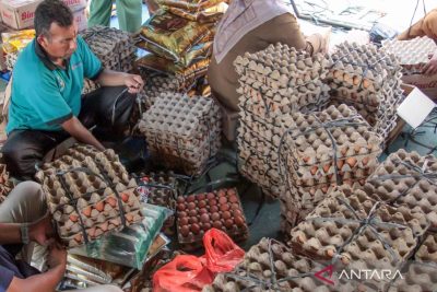 Melindungi kelas menengah sebelum guncangan menjadi kemunduran