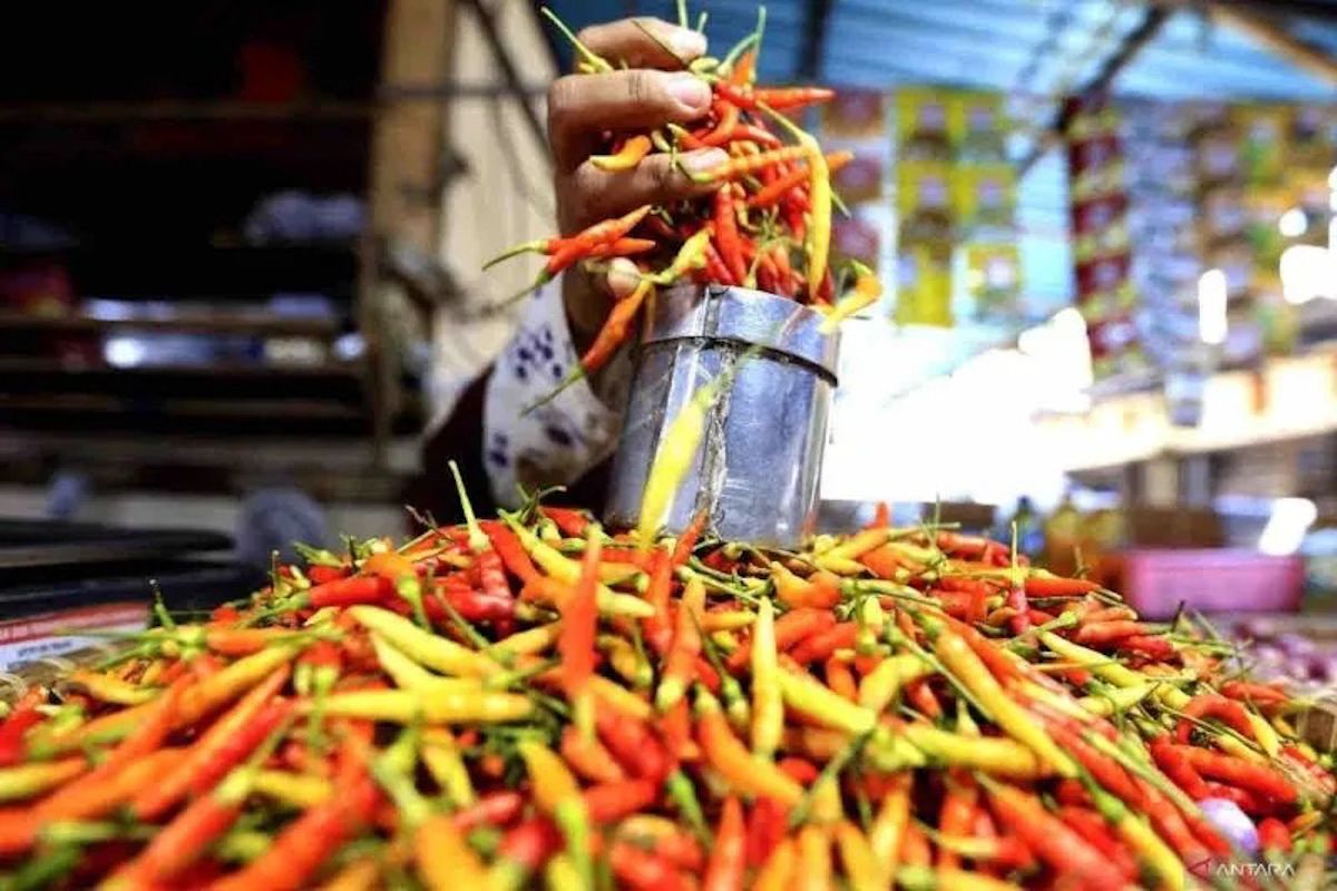 Program Terbaru: Sabtu, harga cabai rawit merah Rp83.100/kg, telur ayam Rp32.550/kg