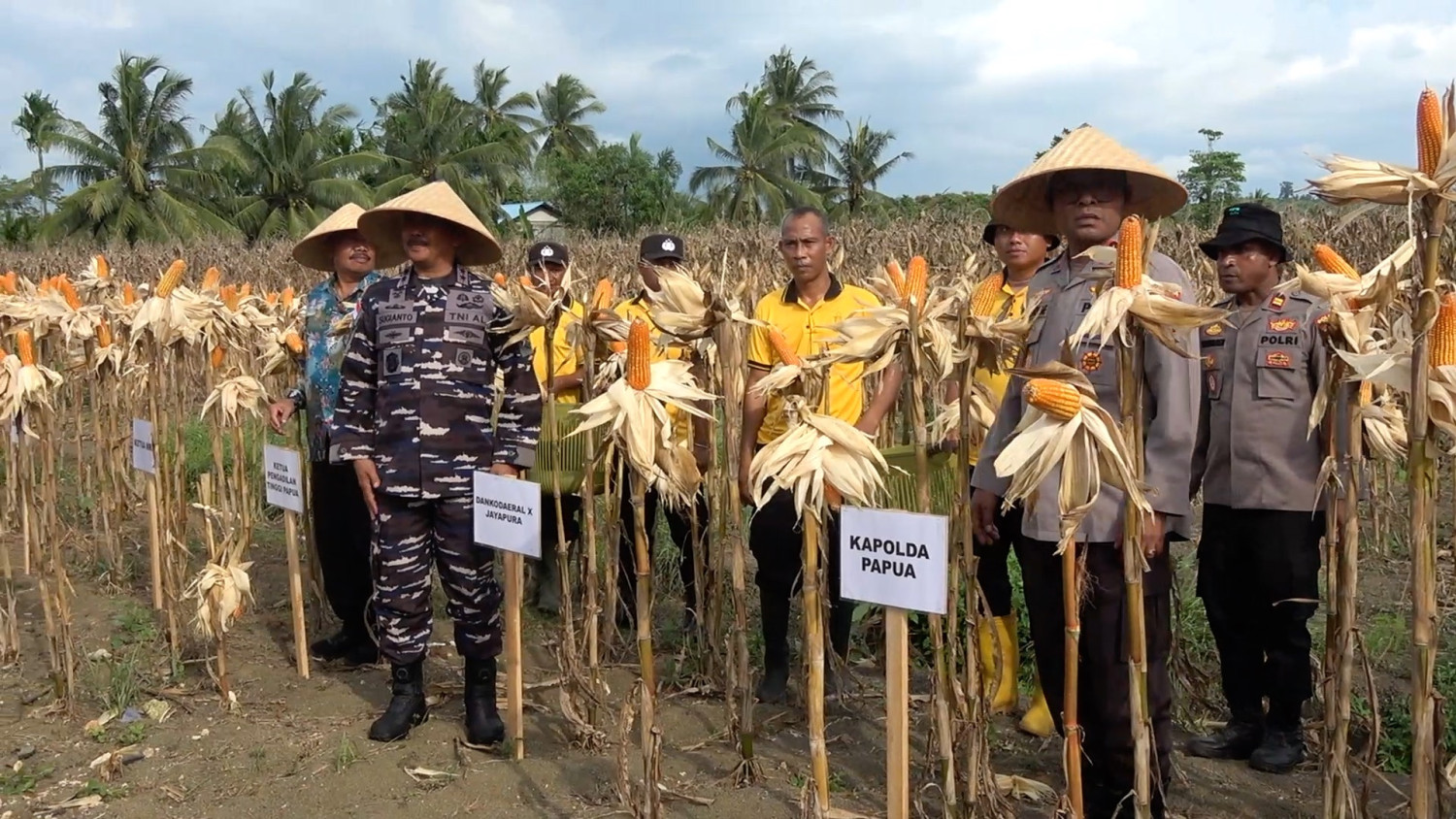 Special Plan: Polda papua catat produksi jagung meningkat 264 persen pada 2026