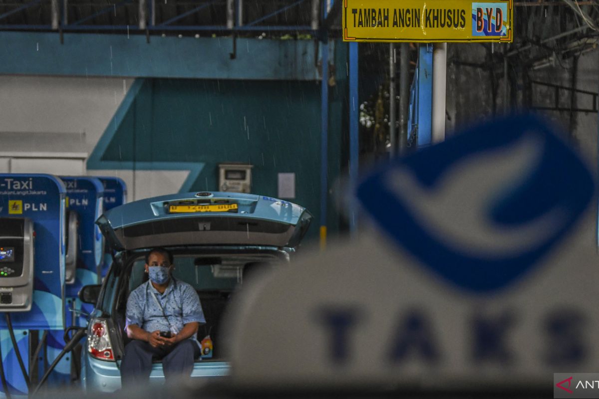 Latest Program: Bluebird catatkan pendapatan Rp1,45 triliun pada kuartal I 2026