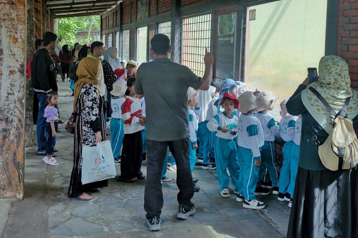 New Policy: Semarang Zoo gratiskan pelajar sambut libur sekolah