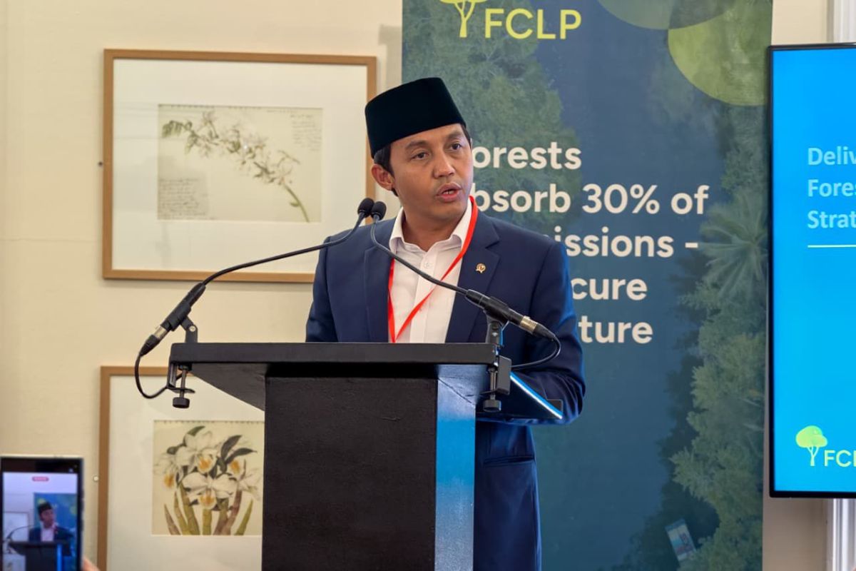 Special Plan: Indonesia perkuat kepemimpinan kehutanan global dalam FCLP London