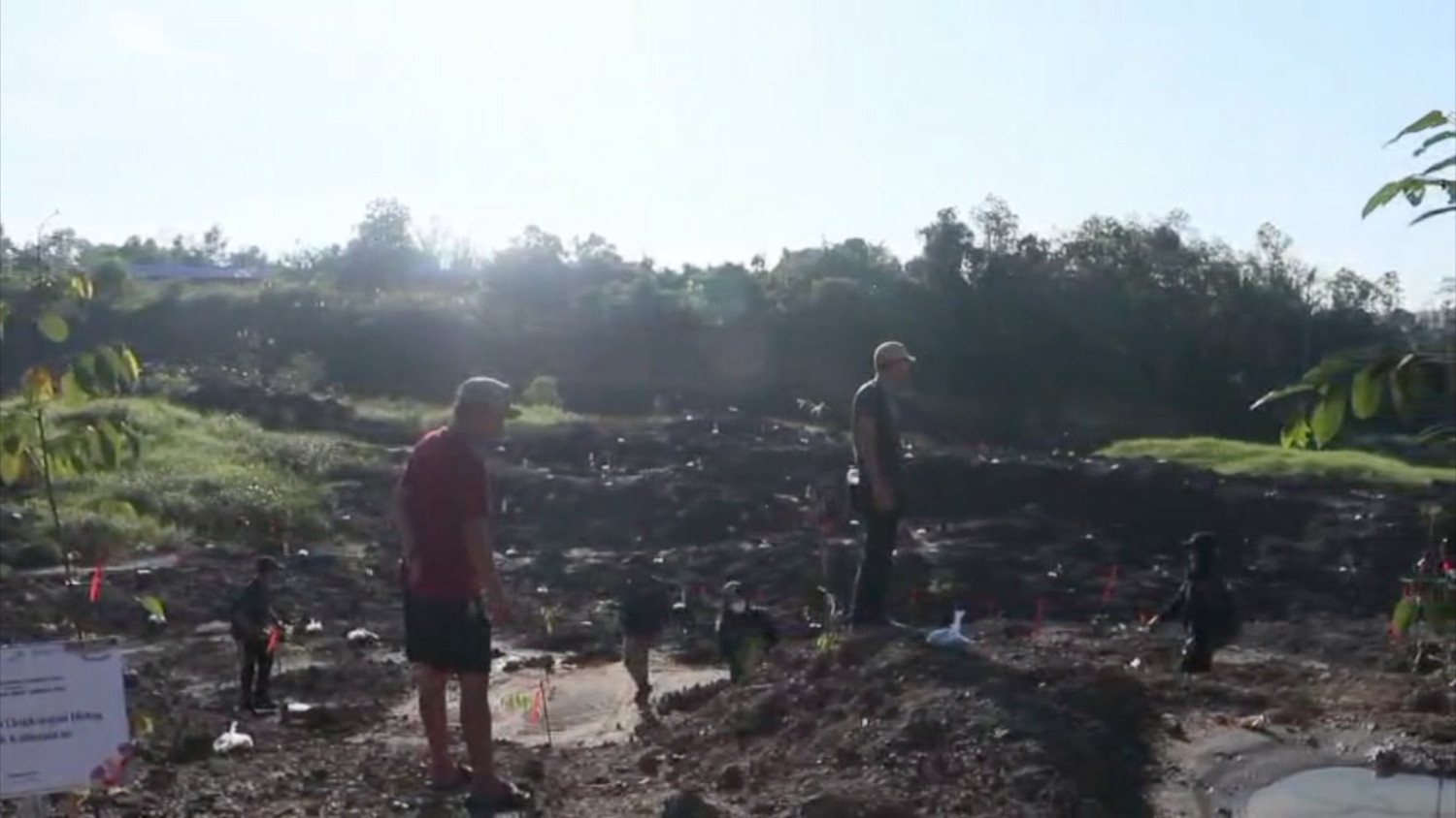Otorita IKN pulihkan Tahura Bukit Soeharto dari lahan eks tambang