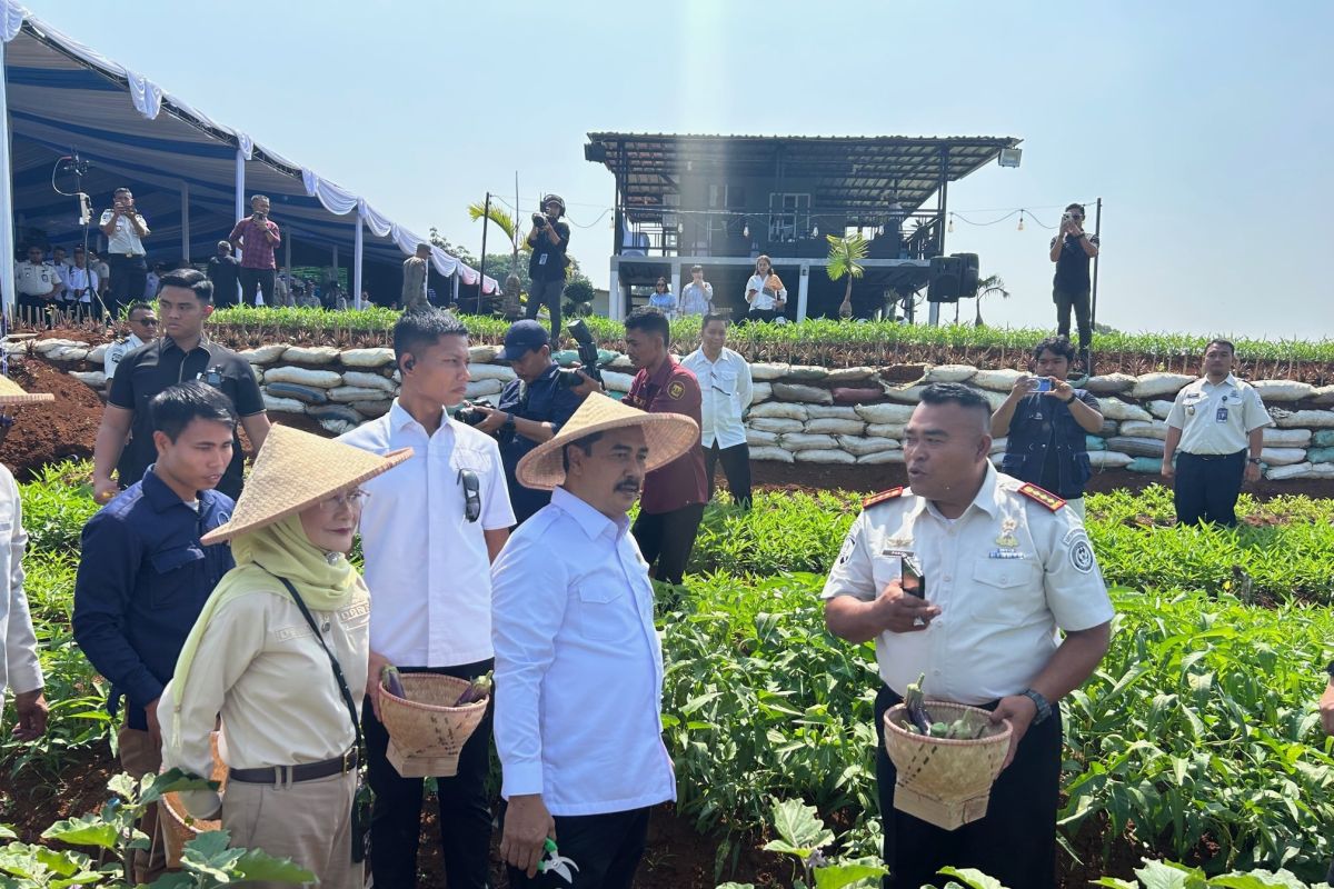 Special Plan: Komisi XIII sebut program ketahanan pangan Imipas jadi terobosan
