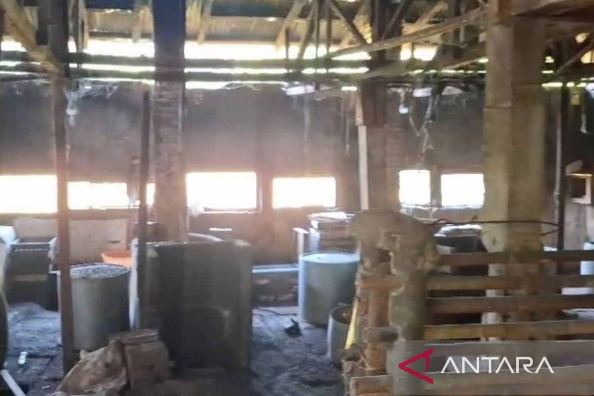 Kopti Cianjur catat kenaikan kedelai lebih terkendali