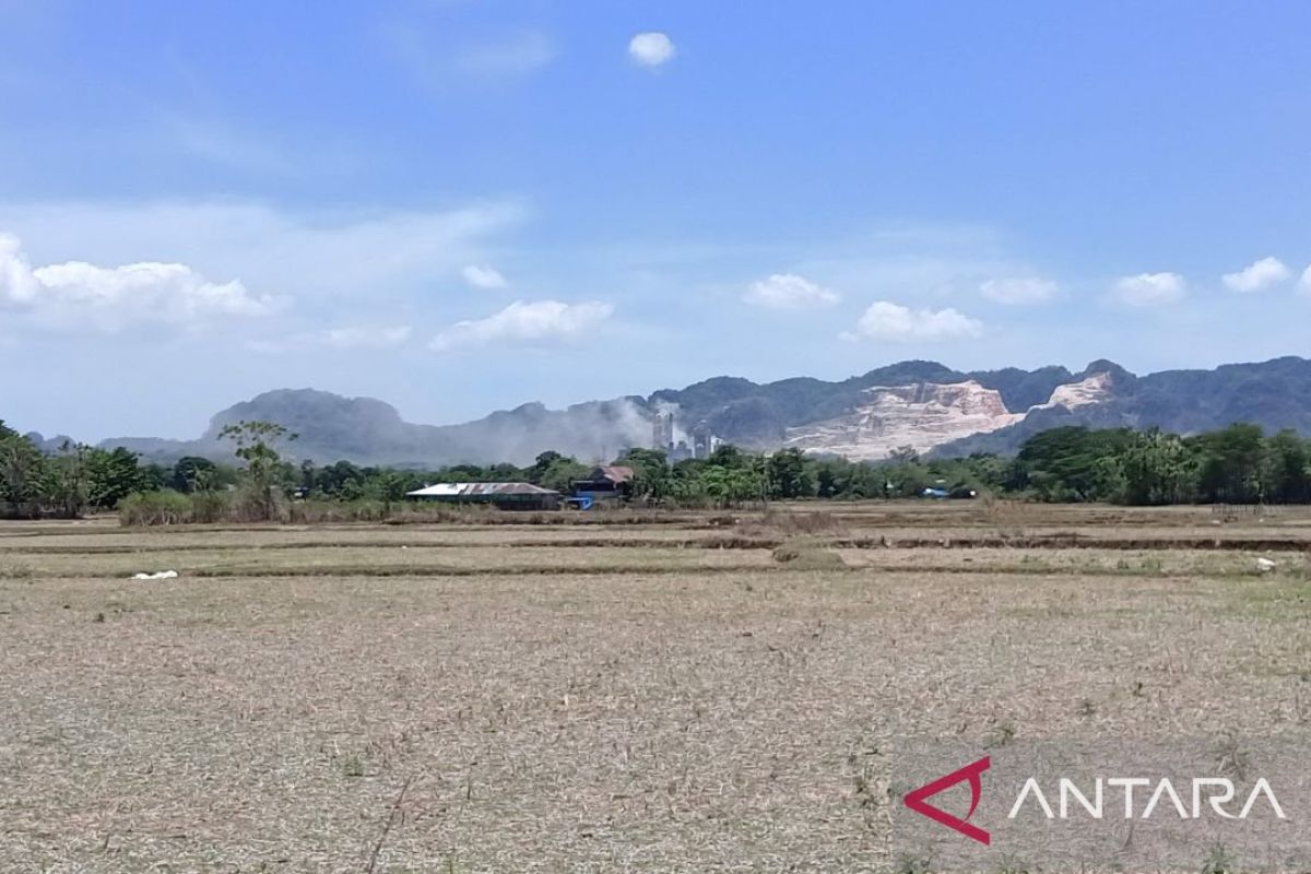 Visit Agenda: WMO ingatkan El Nino menguat, cuaca ekstrem berisiko meningkat