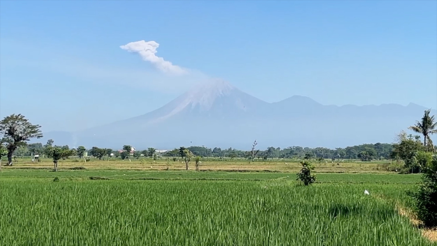 Gunung Semeru erupsi – kolom abu capai 1.300 meter
