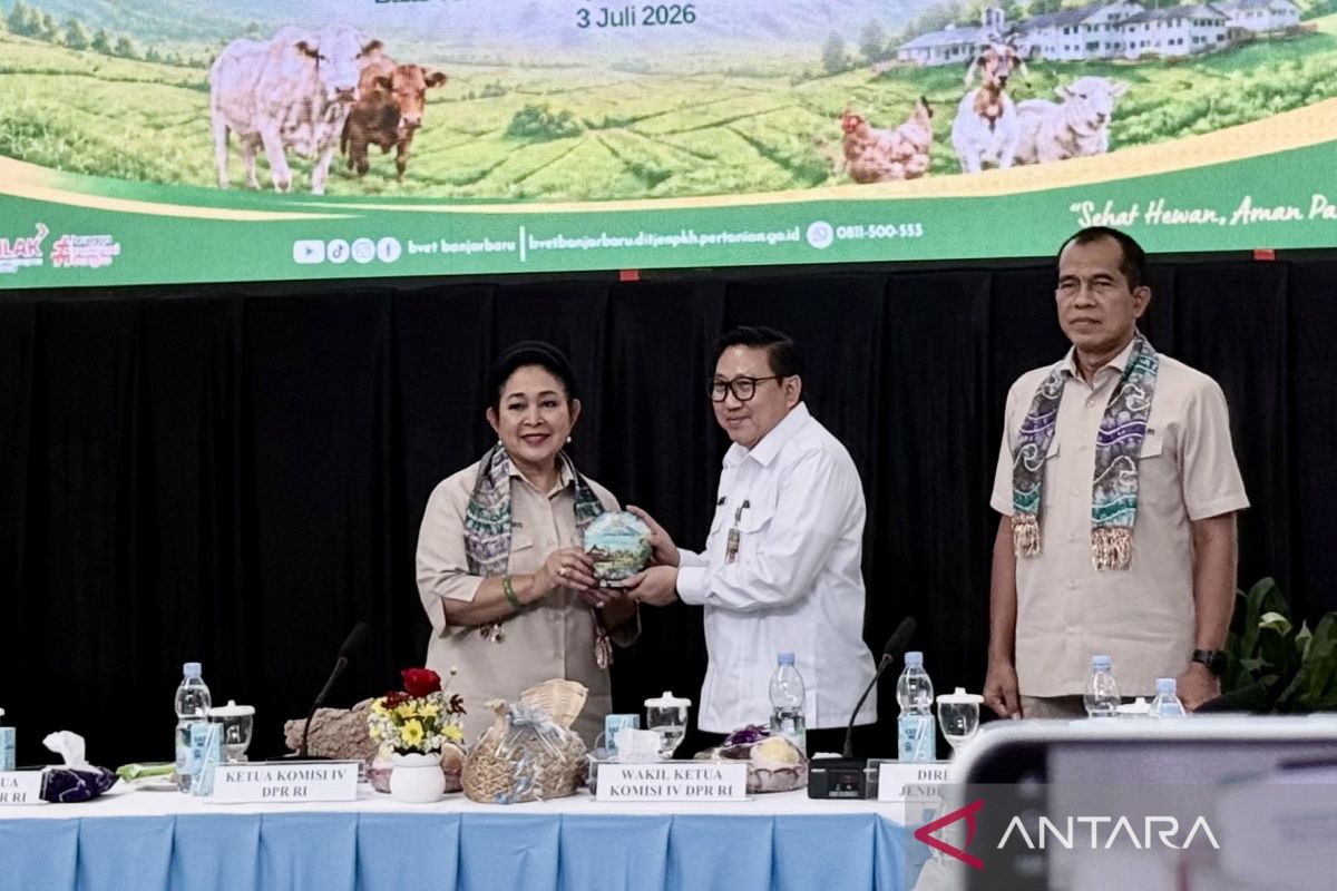 New Policy: Kementan kembangkan pakan ternak legum dan rumput untuk hadapi El Nino