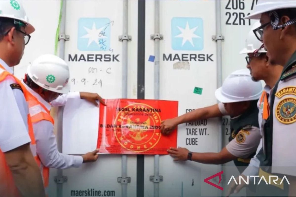 BKHIT Maluku kawal ekspor 11,6 ton tuna beku ke Thailand