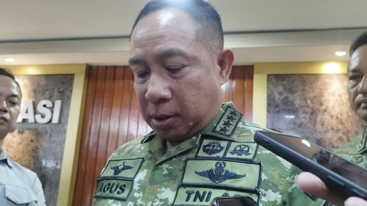 Panglima TNI: Operasi Papua rebut delapan pucuk senjata dari OPM