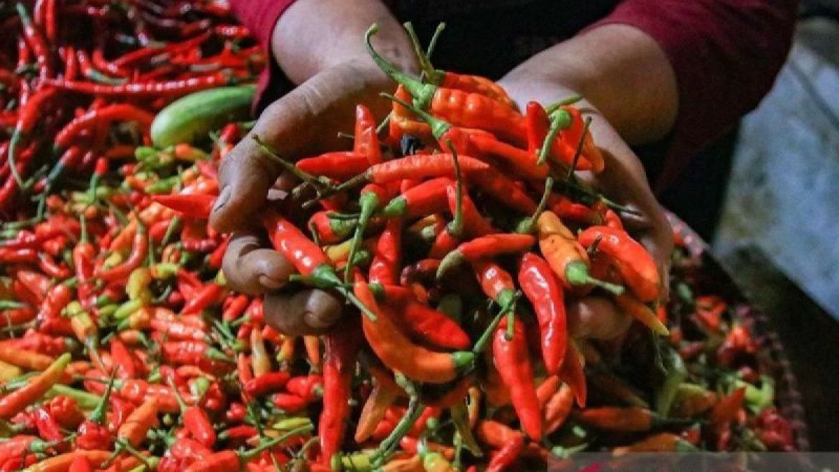 PIHPS mencatat harga cabai rawit Rp94.900/kg, telur ayam Rp31.000/kg