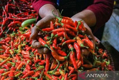 PIHPS mencatat harga cabai rawit Rp94.900/kg, telur ayam Rp31.000/kg