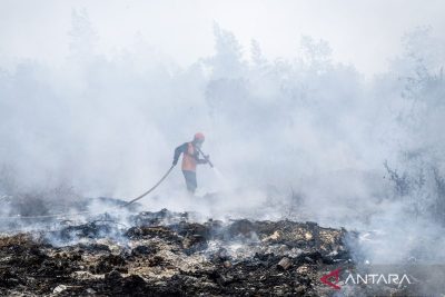 Legislator minta perkuat perlindungan satwa di tengah karhutla