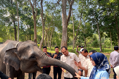 DPR minta penanganan karhutla di Way Kambas fokus pada pencegahan