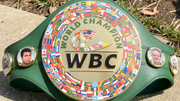 WBC rilis peringkat tinju putra, Jepang dominasi tiga divisi